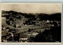 3184 Türnitz 1931 Foto AK
