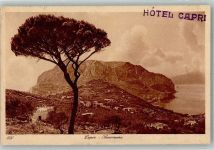 80073 Capri 1925 Foto AK