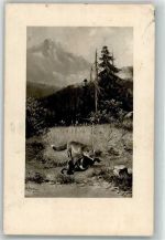 Fuchs Auerhahn Schönian, A. 1910 Künstlerkarte