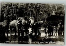 Kandy Foto AK Elefanten Lurftpost