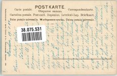 Gewöhnlicher Schneeball Martin Rommel u. Co. 532 Rommel 1904