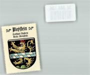 92714 W8481 Pleystein Vignette Wappen