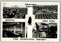 Porto Sandeman Vineyards u. Bodegas Wein