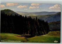 O6054 Schmücke No. 3090 Blick von der Schmücke Wiro 1920 Künstlerkarte