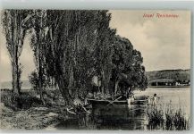 78479 W7752 Reichenau , Baden 1914 Foto AK Insel Reichenau