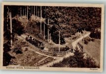 75323 W7547 Bad Wildbad im Schwarzwald 1921 Foto AK Bergbahn