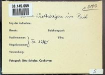 27472 W2190 Duhnen FOTO KEINE AK Foto montiert auf Karton Wattwagen Fotograf Otto Schulze