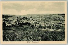 54550 W5568 Daun - Panorama des Ortes mit Burg Daun