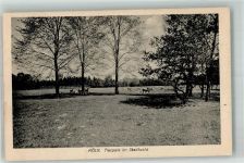 50667 W5000 Köln Lindenthal 303 1918 - Tierpark im Stadtwald