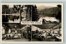 94252 W8371 Bayerisch Eisenstein Foto AK Arbersee