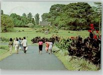 Bogor Buitenzorg Foto AK Botanischer Garten