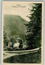 99891 O5808 Tabarz , Thüringerw Foto AK Lauchagrund Ubelberg