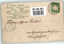 Hirsche Jagdtier 1905