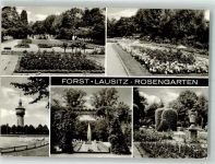 03149 O7570 Forst Lausitz - Rosengarten