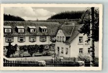 95444 W8580 Birken Foto AK Gasthaus Pension