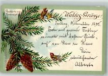 Tannenduft Duftkarte 1900