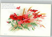 Klatschmohn Blume