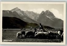 Schäfer auf der Weide Schaf Foto AK