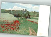 Waldesrand Klatschmohn Nr. 538 Rotophot Künstlerkarte