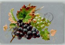 Weinrebe an herbstlich verfärbten Blättern Wein 1907 Künstlerkarte