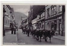 Fotokarte von Friedrichroda i. Thür. Hauptstraße mit Kühen ungelaufen Top Erhaltung.