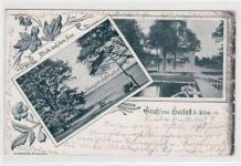 Gruß aus Seelust bei Plau i. Meckl. mit Dampfschiffstation gelaufen von 1899. Oxydationsspuren rechter Rand, kleiner Knick unten rechts, leichte Eckabschürfungen und Rändern, sonst gut erhalten.