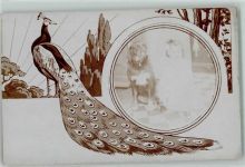 Fasan Privatfoto Kind mit einem Jagdhund Jugendstil