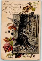 Lithographie Herbstwald Brombeeren Jahreszeit AK Mailick, A. 1902 Gebrauchsspuren