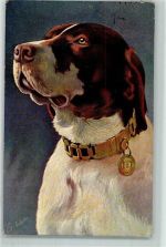 Pointer Rapael Tuck AK Jagdhund 1915 Künstlerkarte