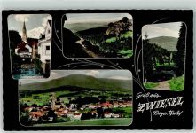 94227 W8372 Zwiesel - Buck v.d. Holztrift