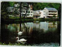 56864 W5582 Bad Bertrich - Schwanenteich Schwäne Hotel