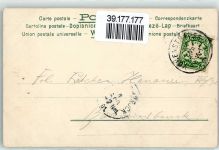 Holzbrand Imitation Küken AK Osterei 1901