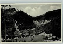 95131 W8678 Schwarzenstein a Wald