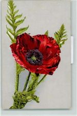 Photochromie Mohnblume AK Blume