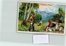 Sammelbild Birkenpilz - Werbung Dr. Thompson Seifenpulver Pilz Lithographie