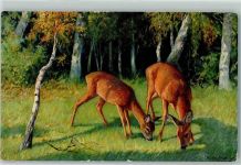 Rehe äsen signiert Walter Heuberger? AK Jagdtier Künstlerkarte