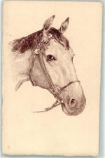 Pferdekopf S.B. Vienne Pferd 1900 Lithographie