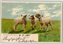 Ostern Lämmer mit Glöckchen AK Mailick, A. 1901 Lithographie