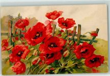 Mohnblumen Meissner u. Buch Serie AK Blume