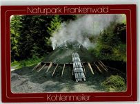 W8678 Thiemitz a Wald Kohlenmeiler im Thiemitztal AK Beruf Köhler