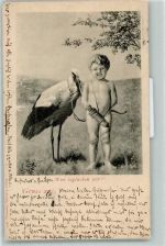 Amor und der Storch Verlag Edgar Schmidt 1474 AK Storch 1899