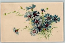 Kornblumen AK Blume Künstlerkarte