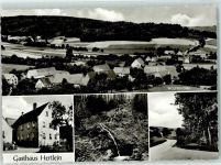 91802 W8831 Wolfsbronn , Mittelfr - Gasthaus Hertlein Steinerne Rinne mit Zufahrt