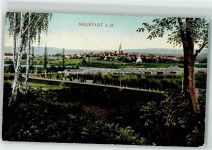 93333 W8425 Neustadt a.d.Donau 1909 - Donaubrücke