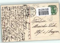 09573 O9382 Augustusburg 1912 - Verkehrt gepflanzte Linde