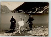 Geiranger - Samer Tracht Rentier Djuovatn