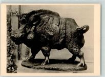 Nr. 4838 sign. Fritz Behn - Wildsau Wildschwein aus Holz Wiener Künstlerhaus WK II Foto AK