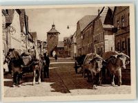 91443 W8533 Scheinfeld - Ochsengespann Pferdegespann