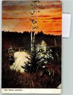 Auerhahn - der Hahn quittiert Verlag Stroefer Serie 448 Nr. 12 Jagdtier Künstlerkarte