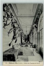 Eu Chateau d`Eu - Galerie des Trophees de Chasse - Schloss Eu Jagd